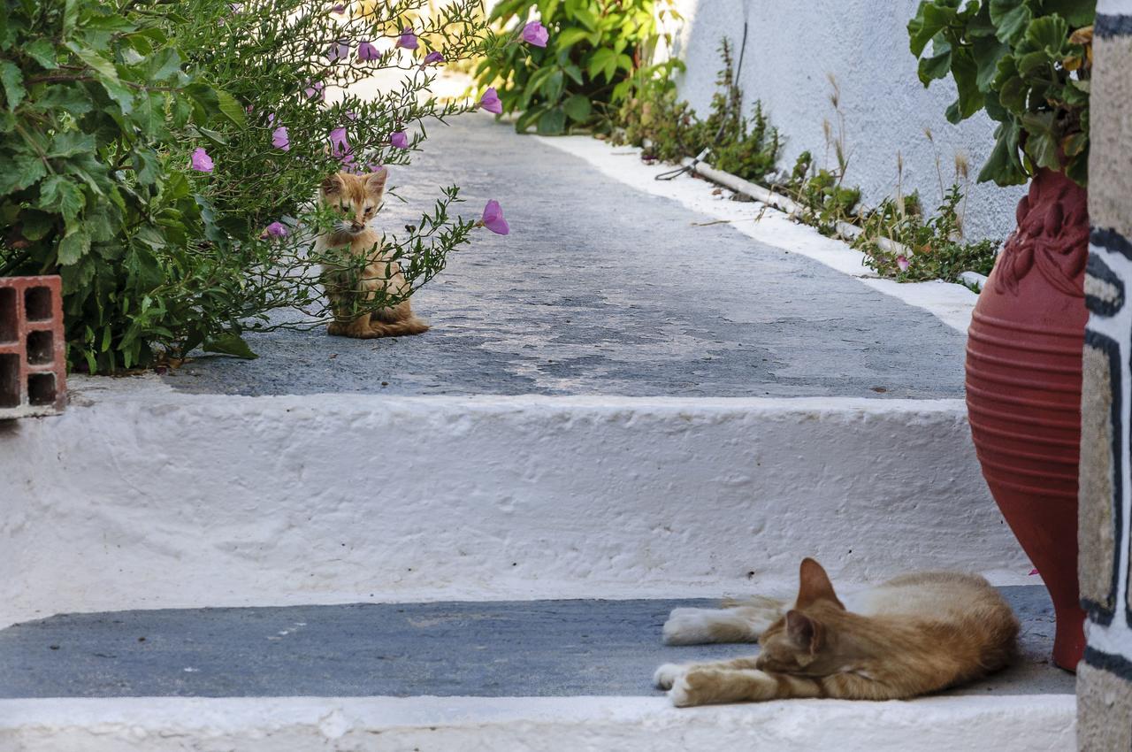Christina 2* Adamantas (Milos)